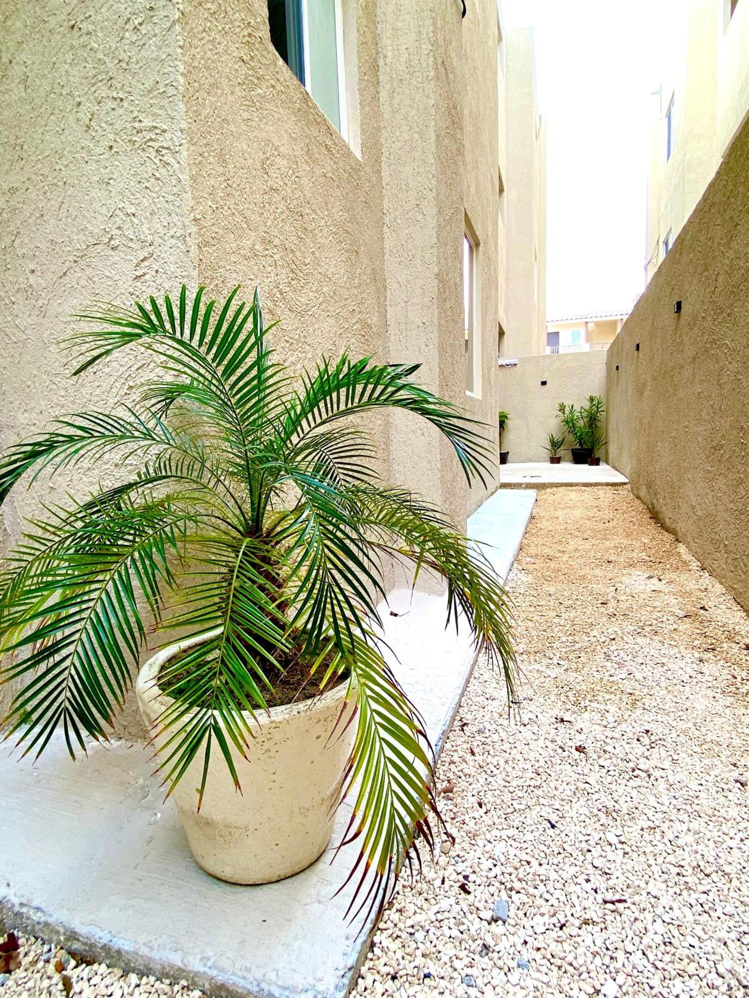 Casa Etna Daire Cancun Dış mekan fotoğraf