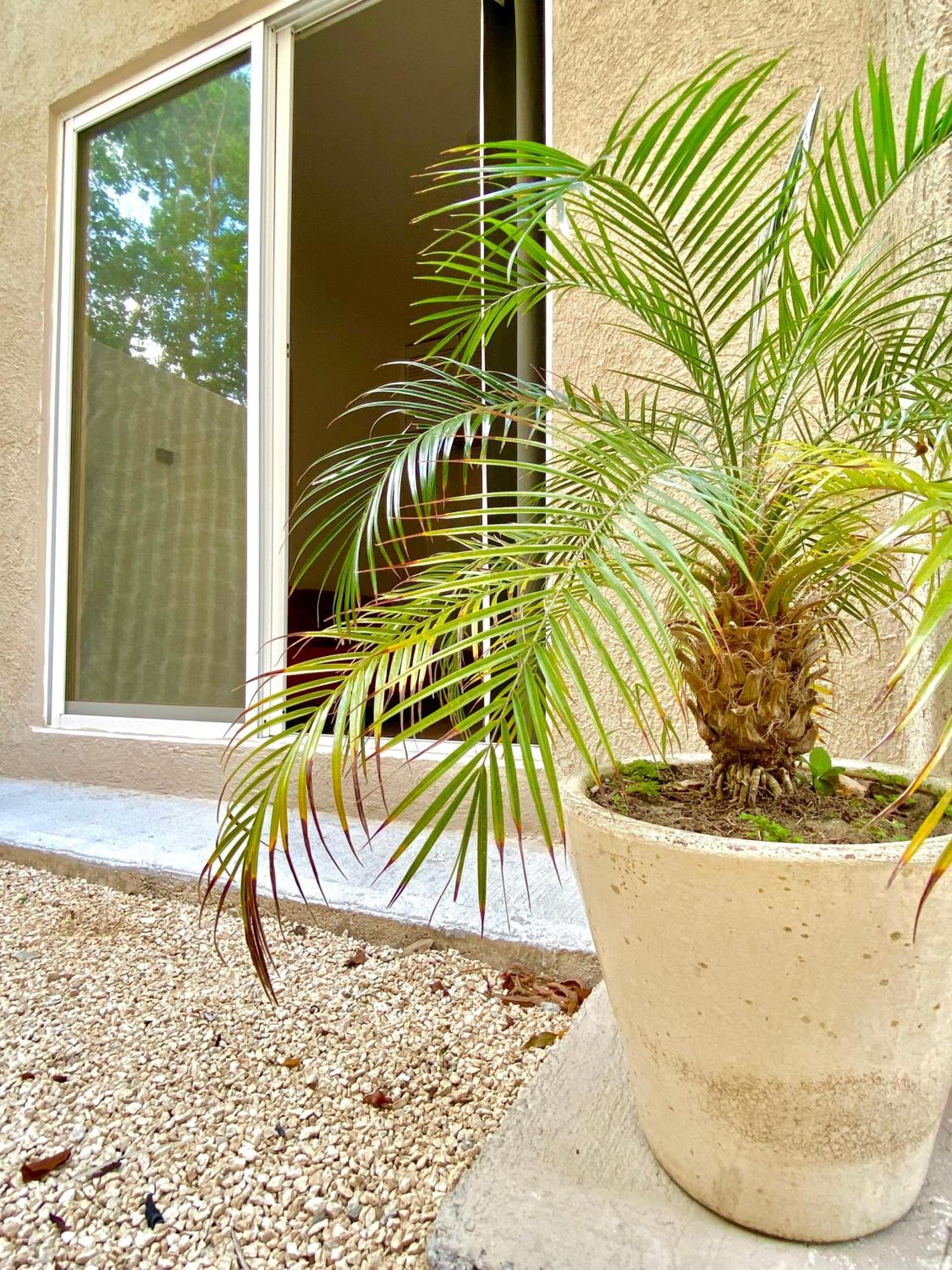 Casa Etna Daire Cancun Dış mekan fotoğraf